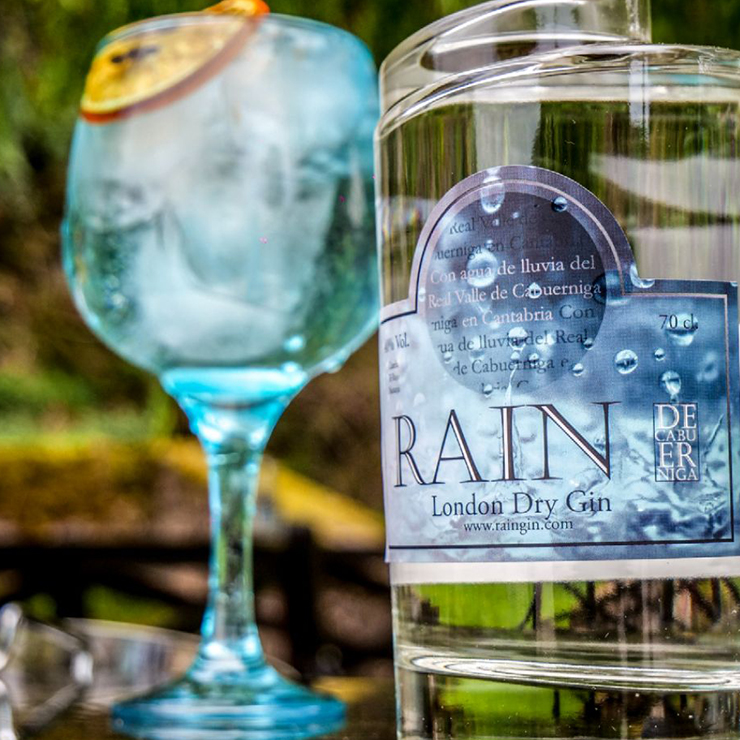 Rain Gin - Myx Magazine